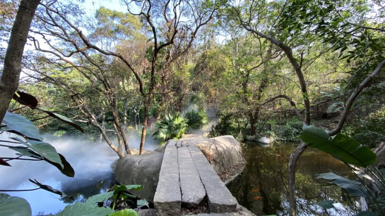 赏城中美景，品厦门味道。城市中心C位酒店，毗邻植物园、中山路
