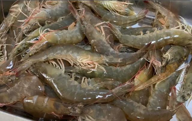 虾头里面黄色的能吃吗,虾头里面是黄的还是屎