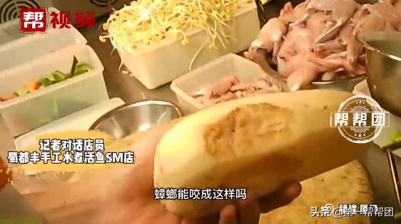 被老鼠咬过的熟土豆还能吃吗,吃了老鼠咬过的土豆怎么办