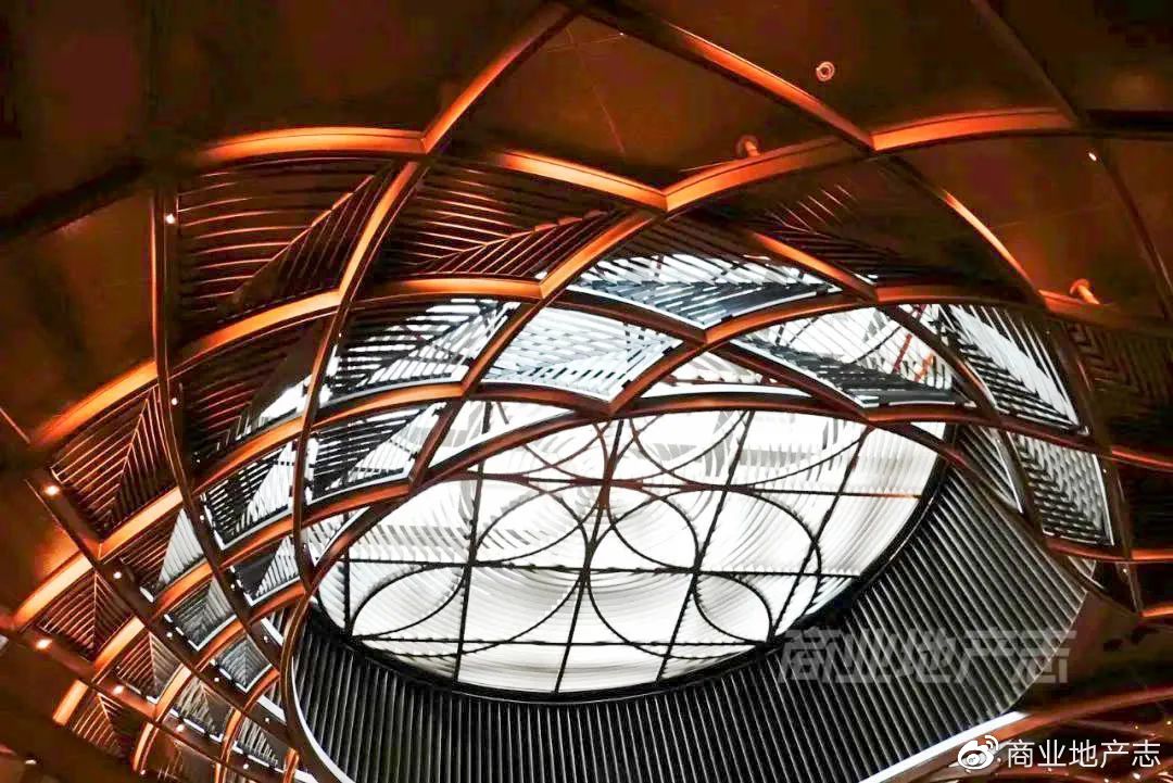 CRR杂谈|HK7日,我与7个香港商业人的深聊记录