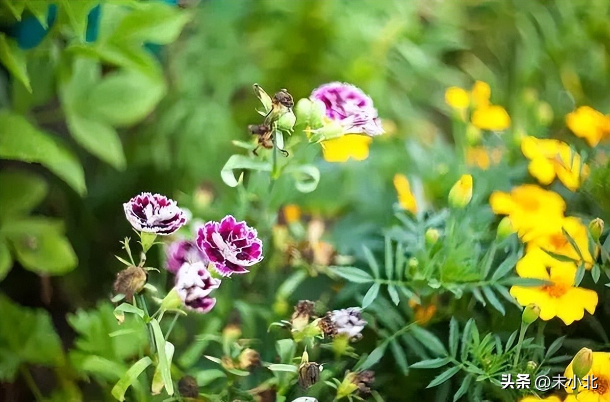 男人哄骗女人时，常说的三句“假话”，你听过几句？