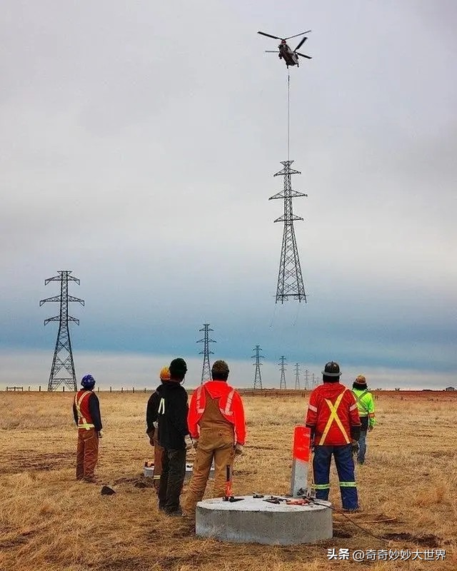 28张图看世界，欧洲贵妇的小便神器，在挪威“当官”的企鹅