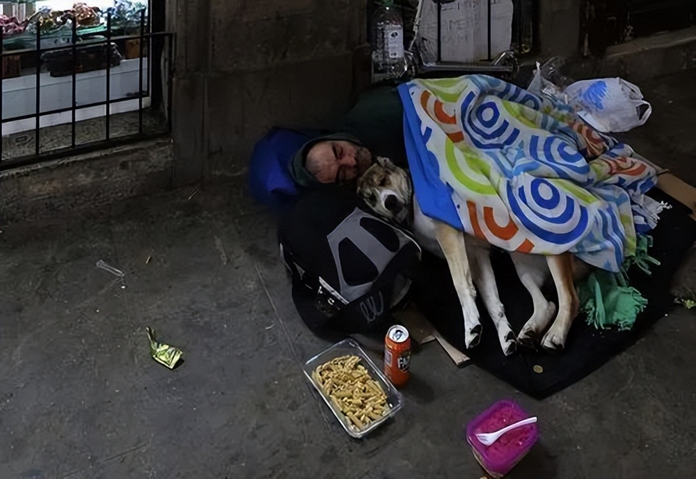 西班牙中国人有没有强占房屋,刷新三观的奇葩