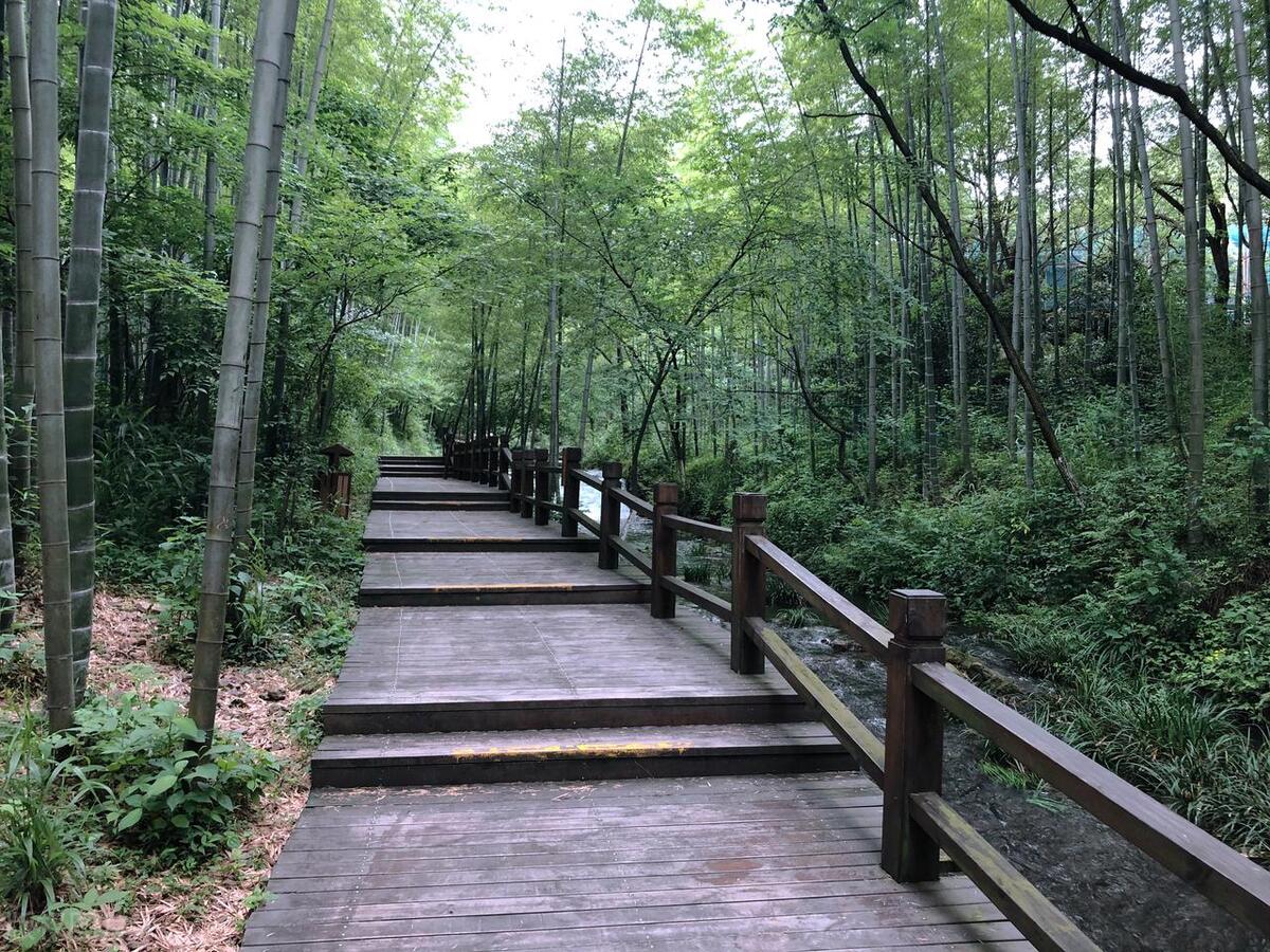 美丽中国之江苏,天目湖南山竹海美景