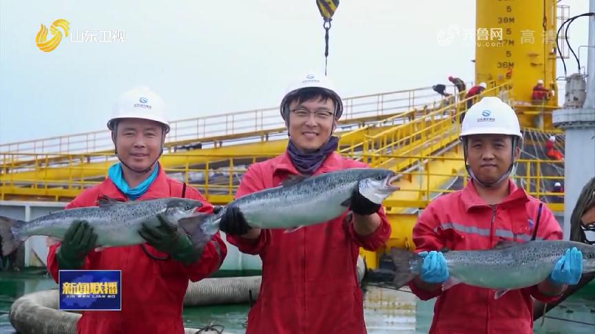也是有故事的“鱼虾蟹”，看山东怎样向江河湖海要食物