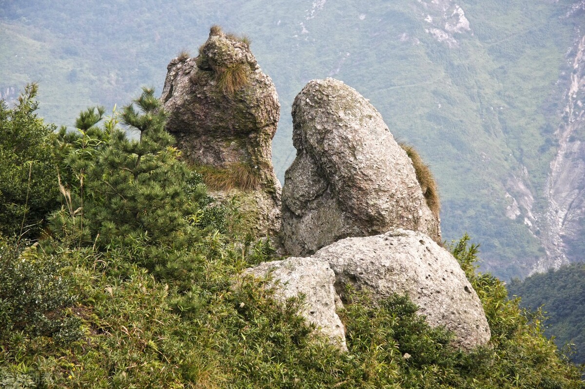 就怕门前鸡鸭头是什么意思,俗语怕见故人的说法