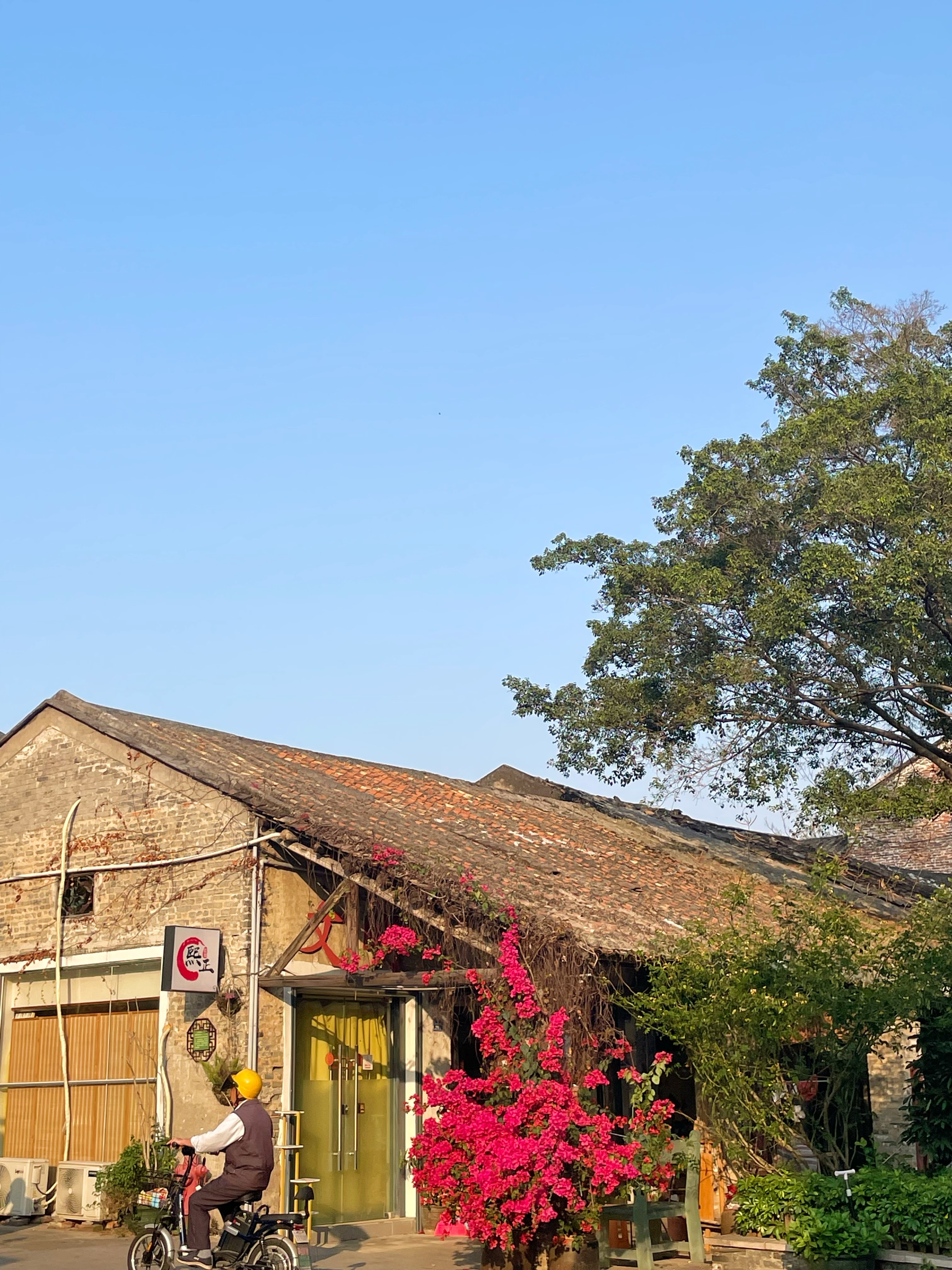 顺德渔人码头游玩攻略,顺德游玩攻略景点大全