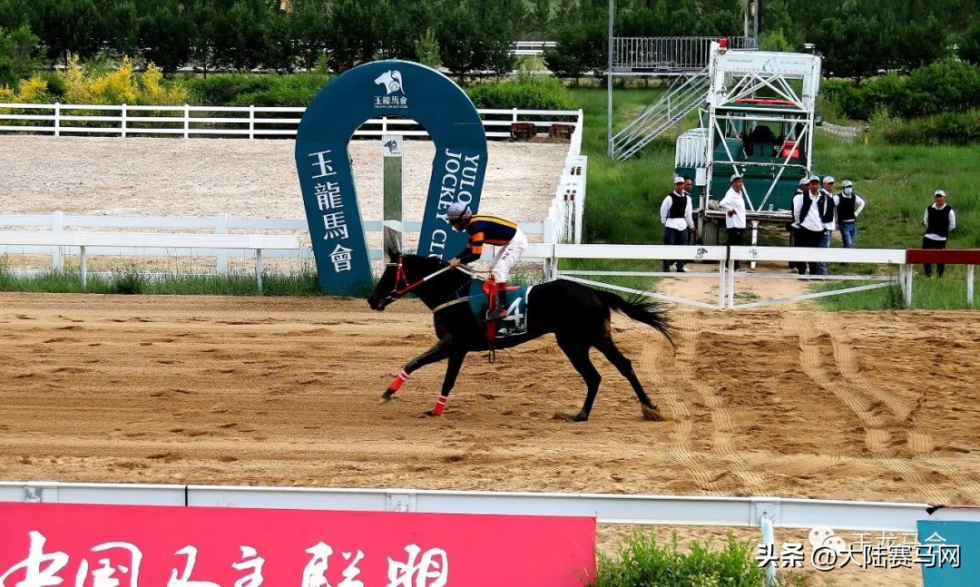 两匹2岁国产马千米跑进1分05秒！2023玉龙第7赛事日战报出炉