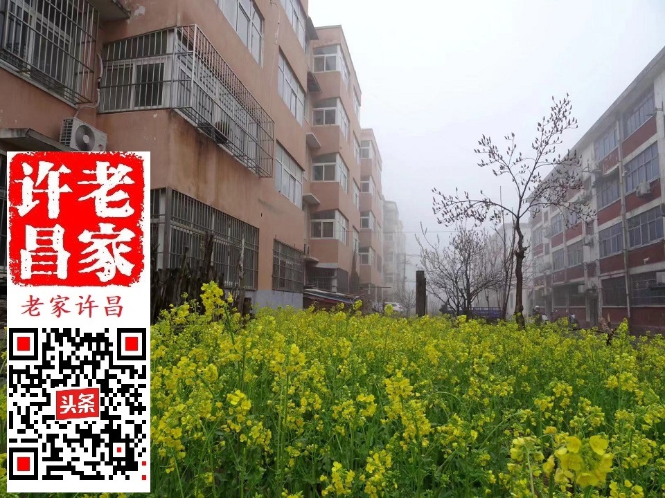 许昌126厂,许昌126厂规划