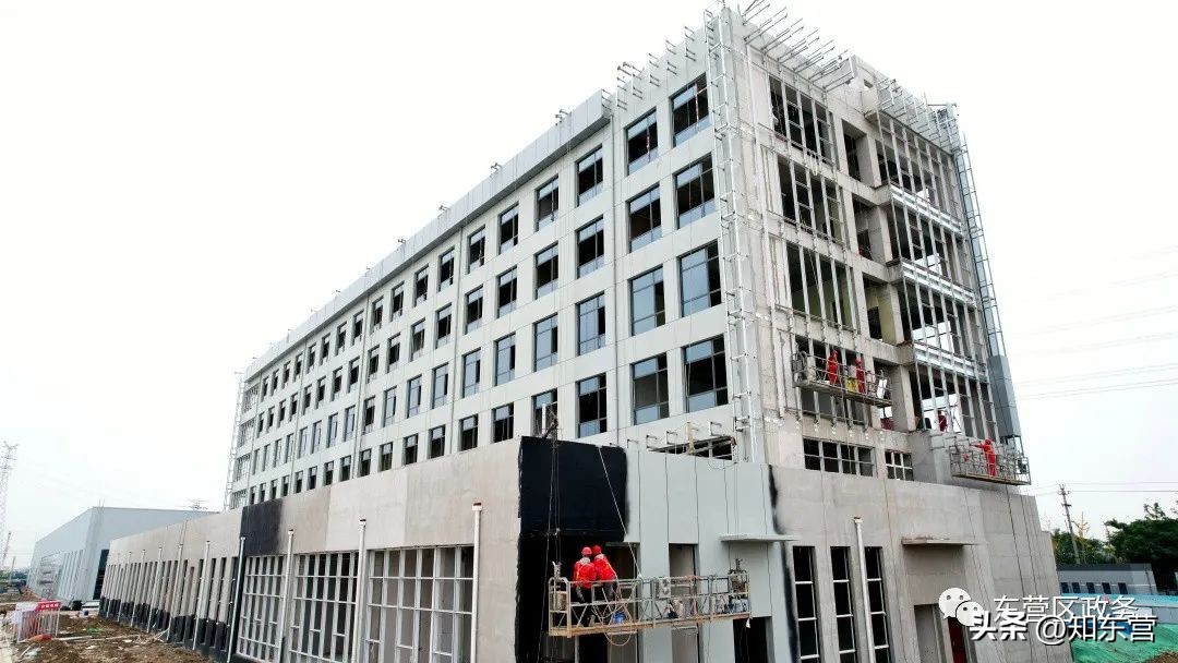 鐖卞湪涓滆惀鎶楃柅蹇呰耽鍨﹀埄,鐖卞湪涓滆惀鎶楃柅