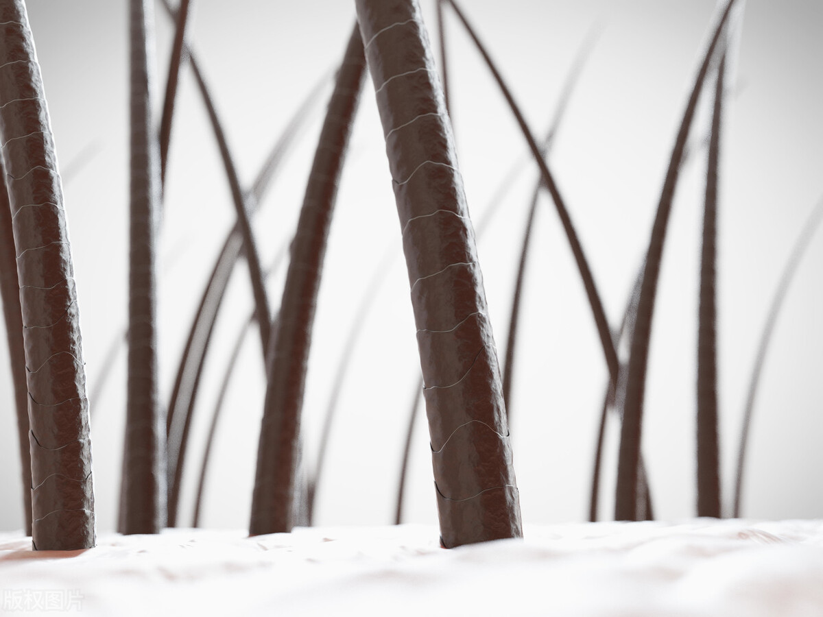 阴毛有啥作用?可以刮掉吗?从黑变白代表不健康?女性别羞于了解