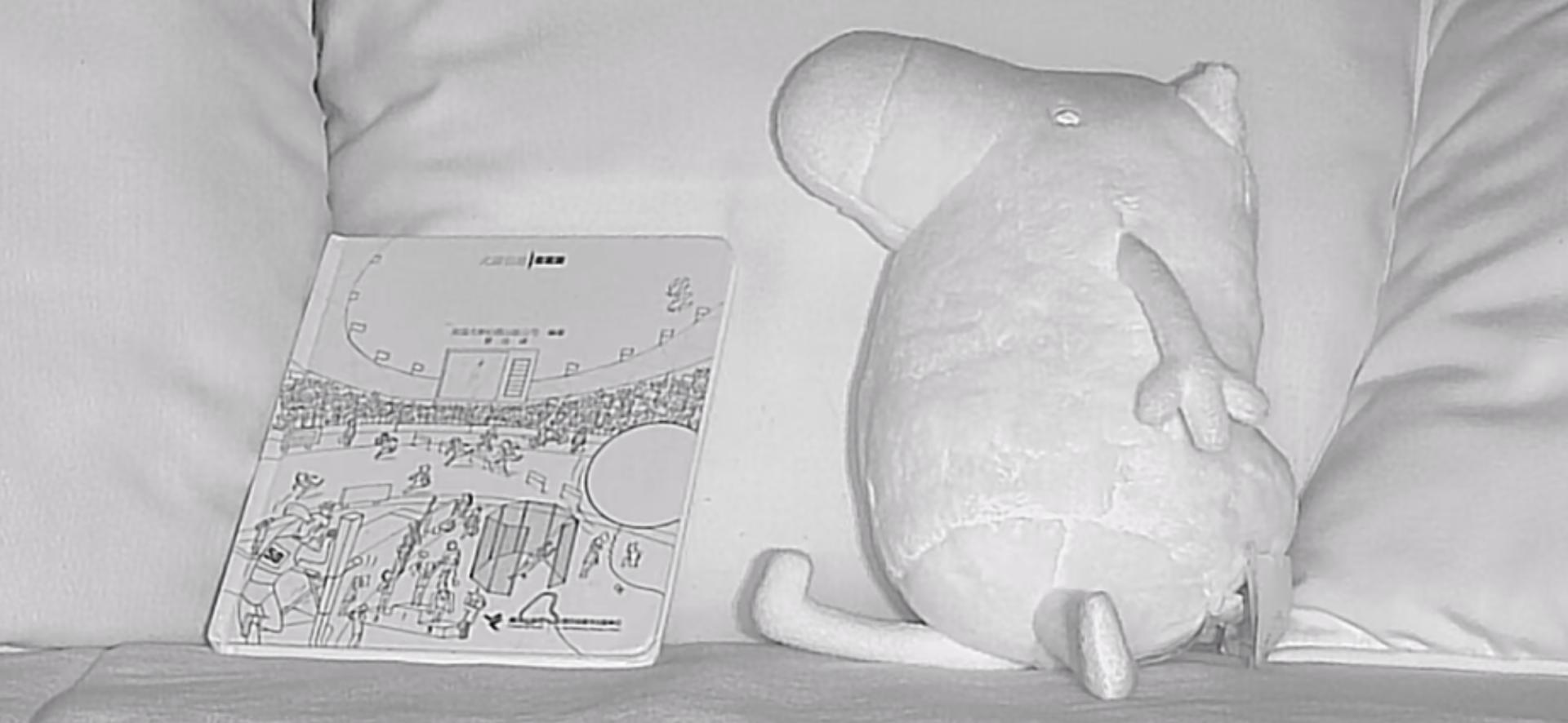 家用摄像头哪款最好用,家用摄像头哪款最实用