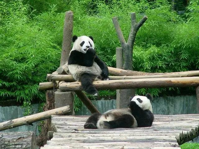 拜水都江堰问道青城山是诗词吗,拜水都江堰问道青城山完整版