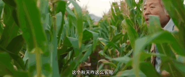 三体国产电视剧拍了几部,电视剧推荐9.0以上评分三体