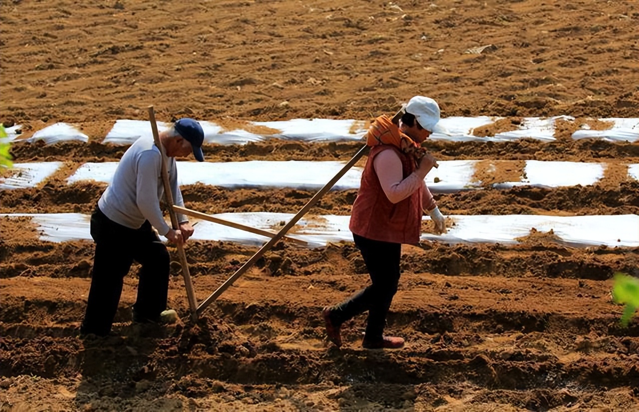 农民耕地有偿退出有什么规定,耕地有偿退出是真是假