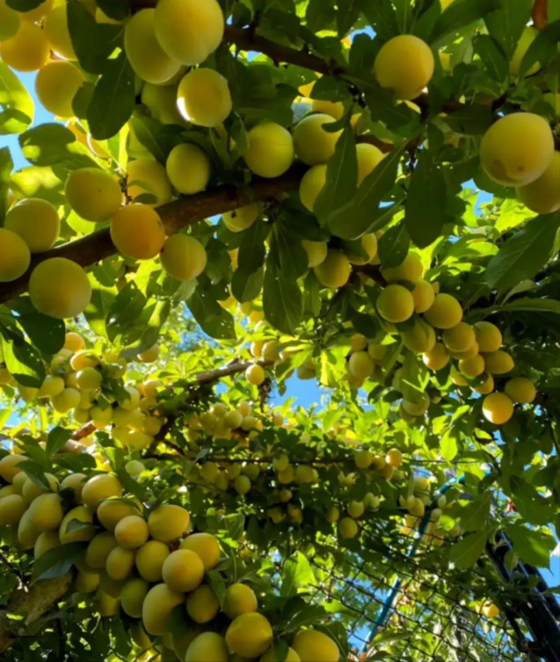 我离婚，追求自己想要的生活，过了这个村就没有这个店了，有错吗