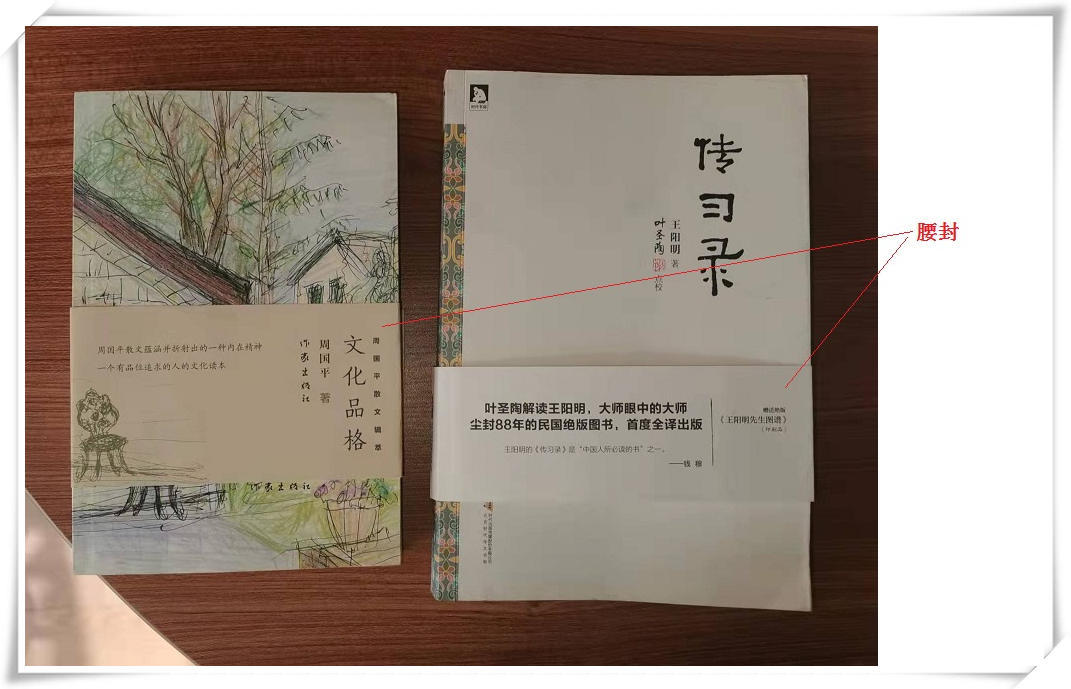 大珊老师:我们习以为常的“书”原来有这么多奥妙