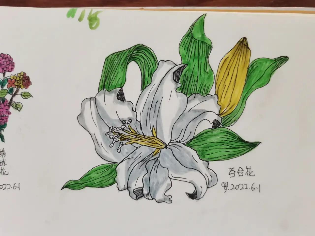 自学画画几年才有成果,自学画画一星期