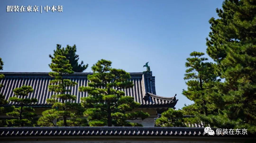 365张照片回顾,365张相片