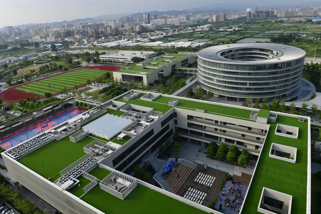 曾经东莞的姑娘 (曾经的东莞妹子)