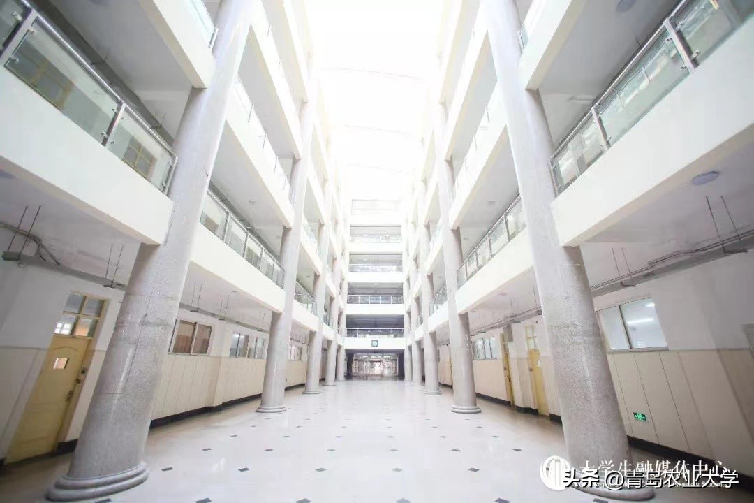 又到毕业季承载着满满的回忆,毕业季带着你们开启新的旅途