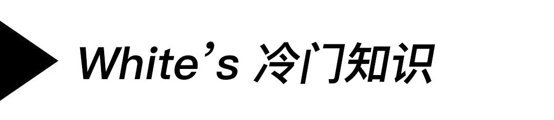 回到最初的梦想视频,回到最初的梦想爵士