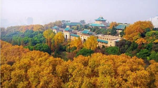 武汉大学被誉为最美大学主要不在于樱花，而在于其建筑和山水园林