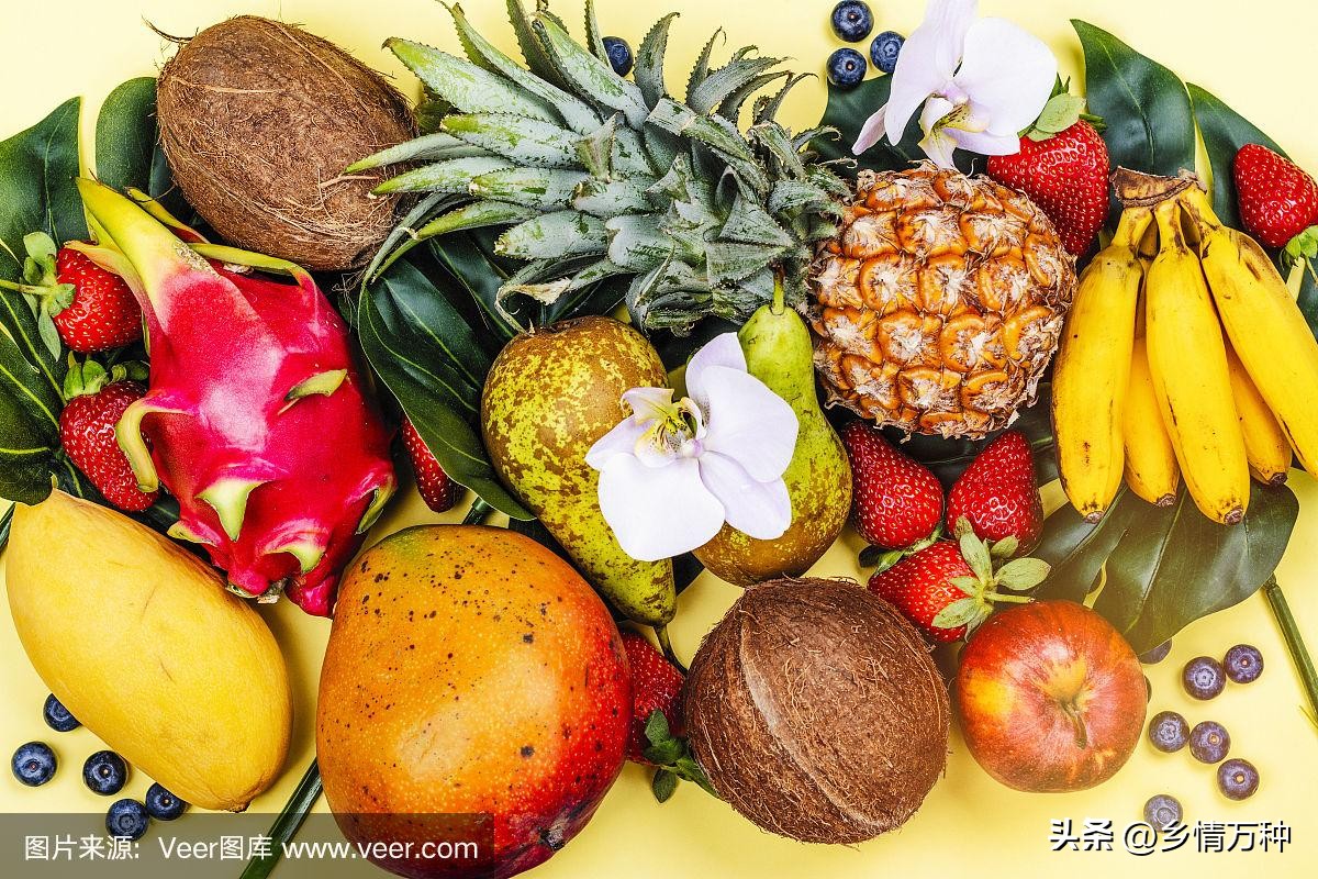 热带水果种类介绍,热带水果的特点
