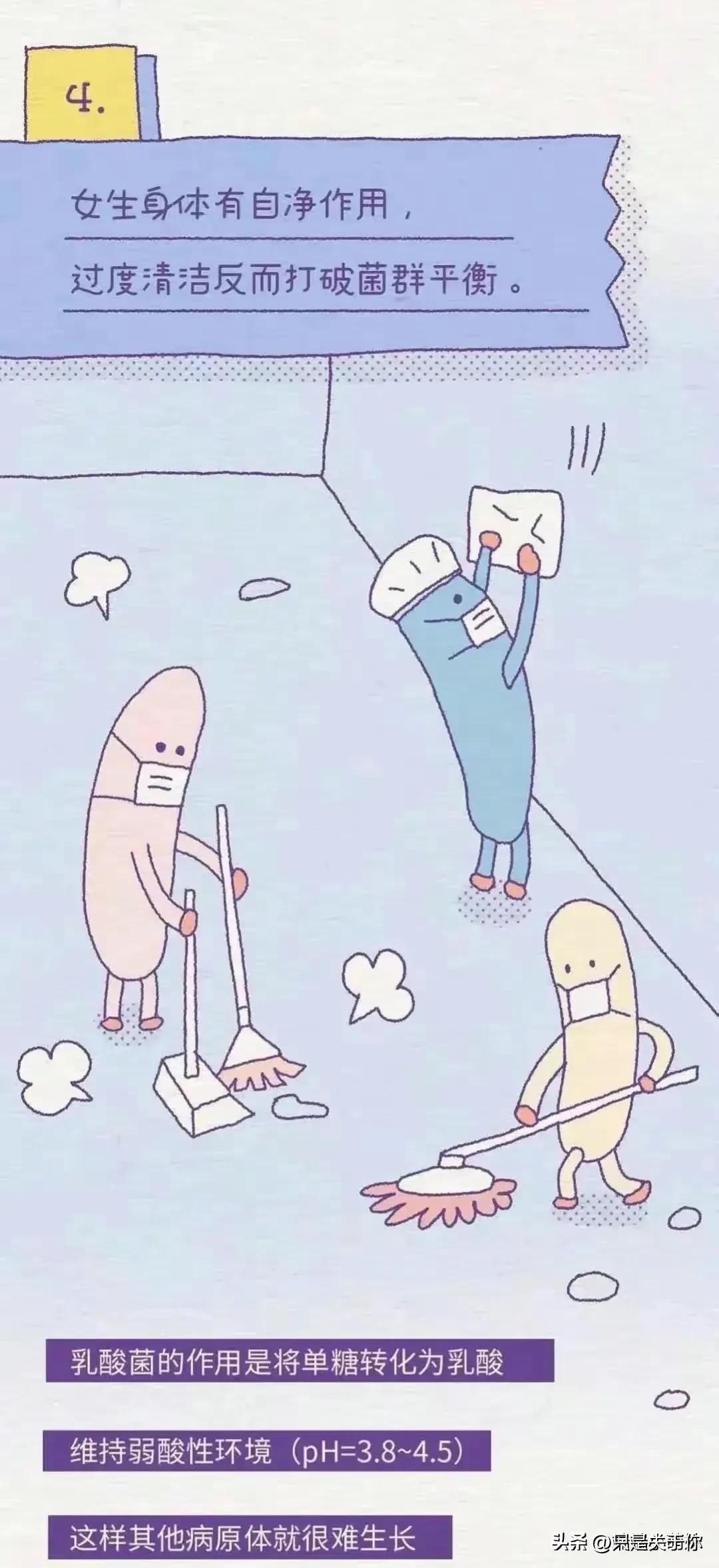 漫画里女孩子的秘密,漫画科普关于女性的12个秘密