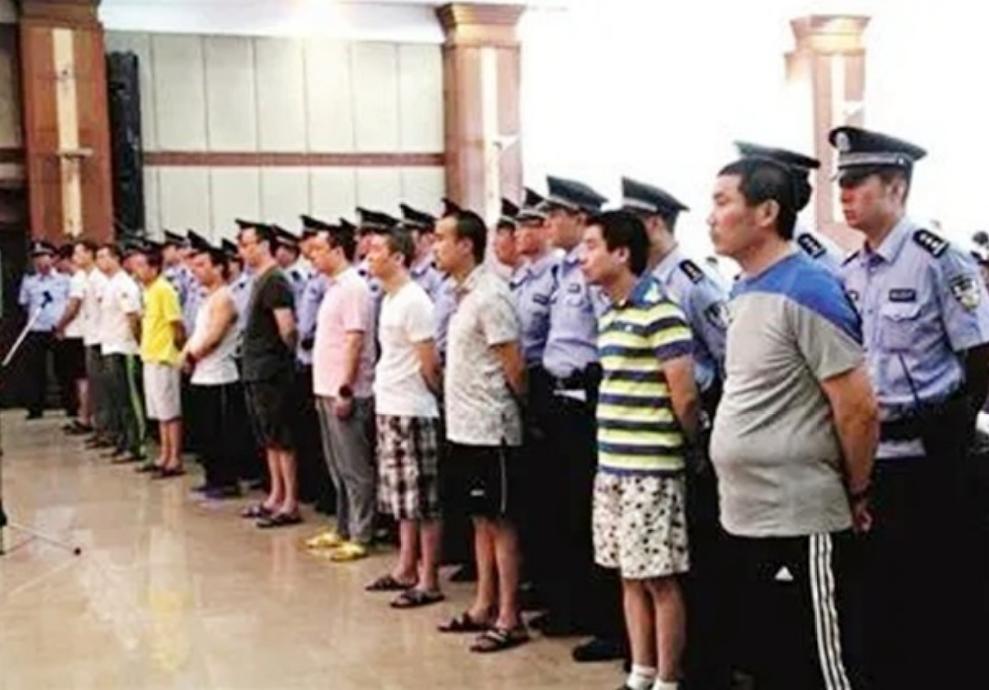 郑州市皇家一号覆灭记,郑州皇家一号覆灭完整版