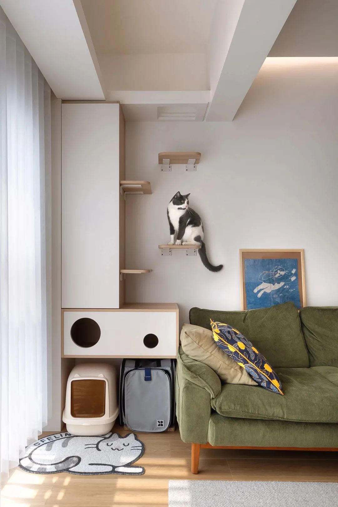 好室发声|不愧是“猫屋”的天花板!这个家的自由属于人和猫