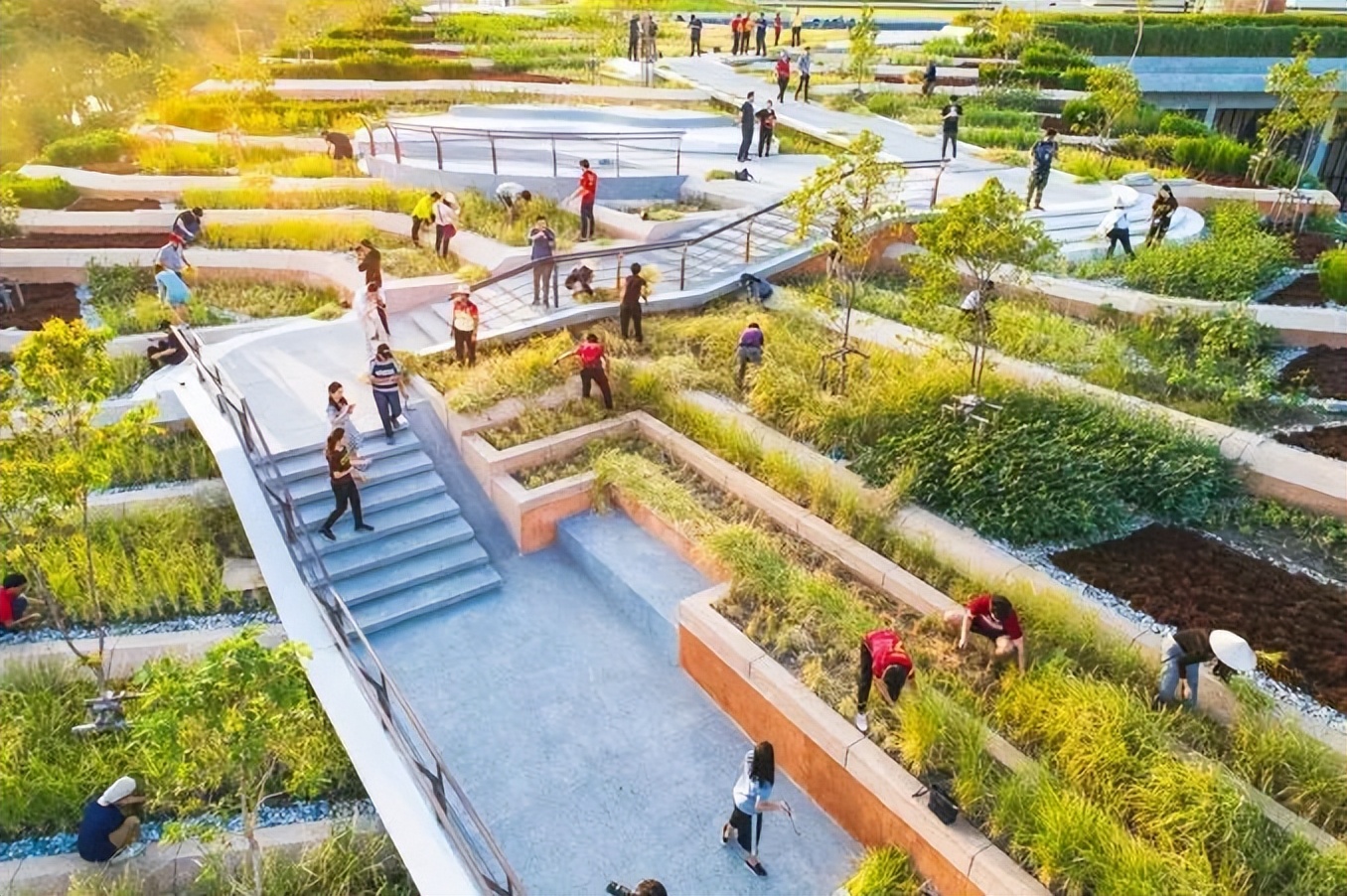 屋顶适合建设哪种绿色屋顶,绿色屋顶建筑