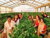 从北到南9集,从北到南看日本第一期