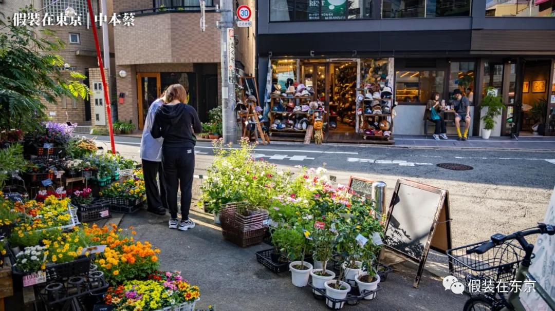 365张照片回顾,365张相片