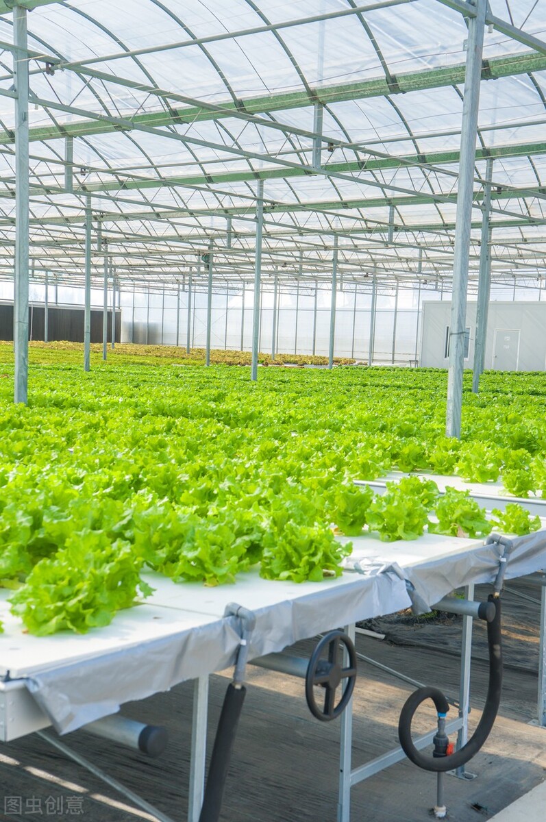 如何做一名优秀的合格的农民,怎样成为一名优秀的新型职业农民