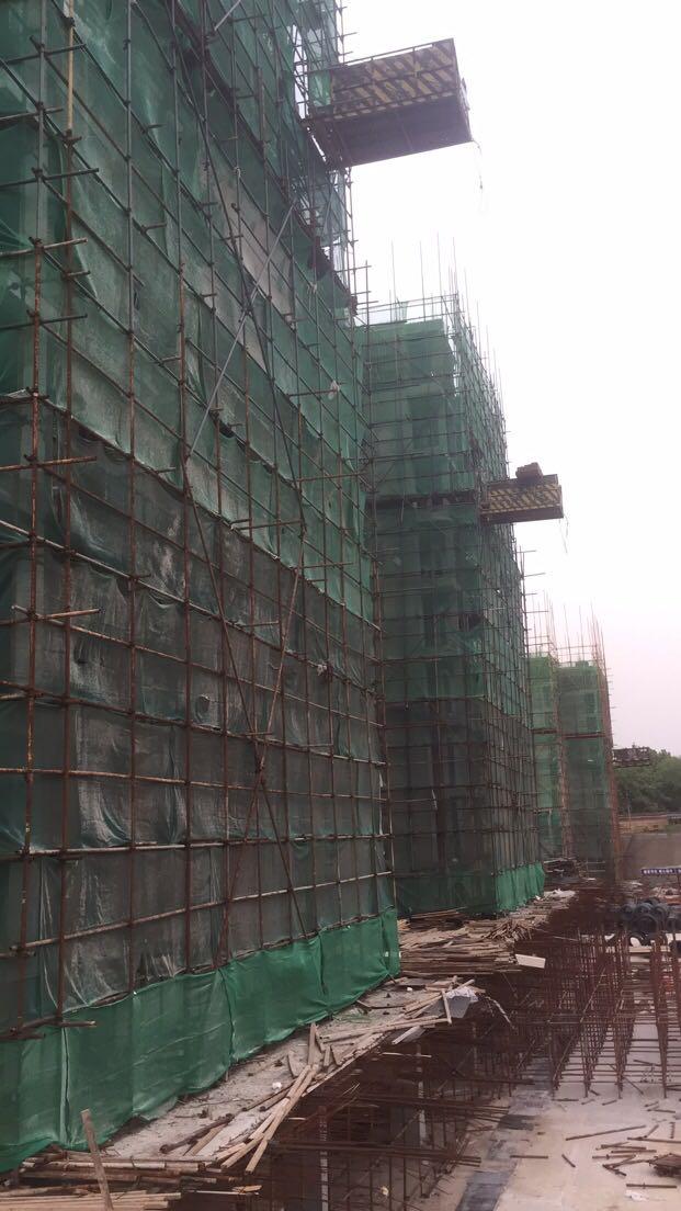 我的1997从1997开始小说,我的1997小说在线阅读