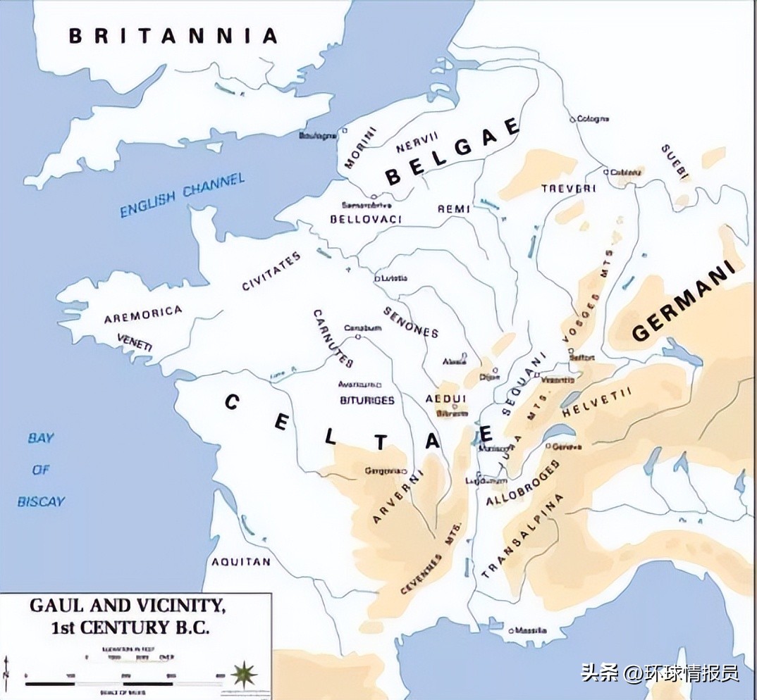 法国人为啥自称高卢雄鸡,法国为什么叫高卢雄鸡