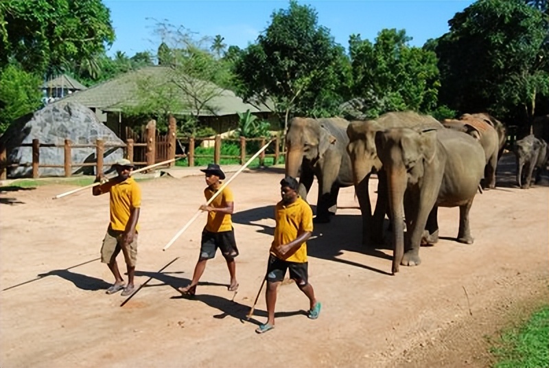 揭开斯里兰卡神秘面纱,带你看不一样的斯里兰卡