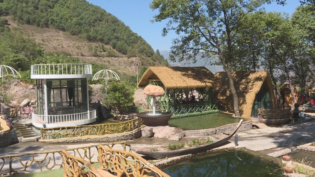 渔业乡村振兴,乡村振兴大棚养淡水鱼