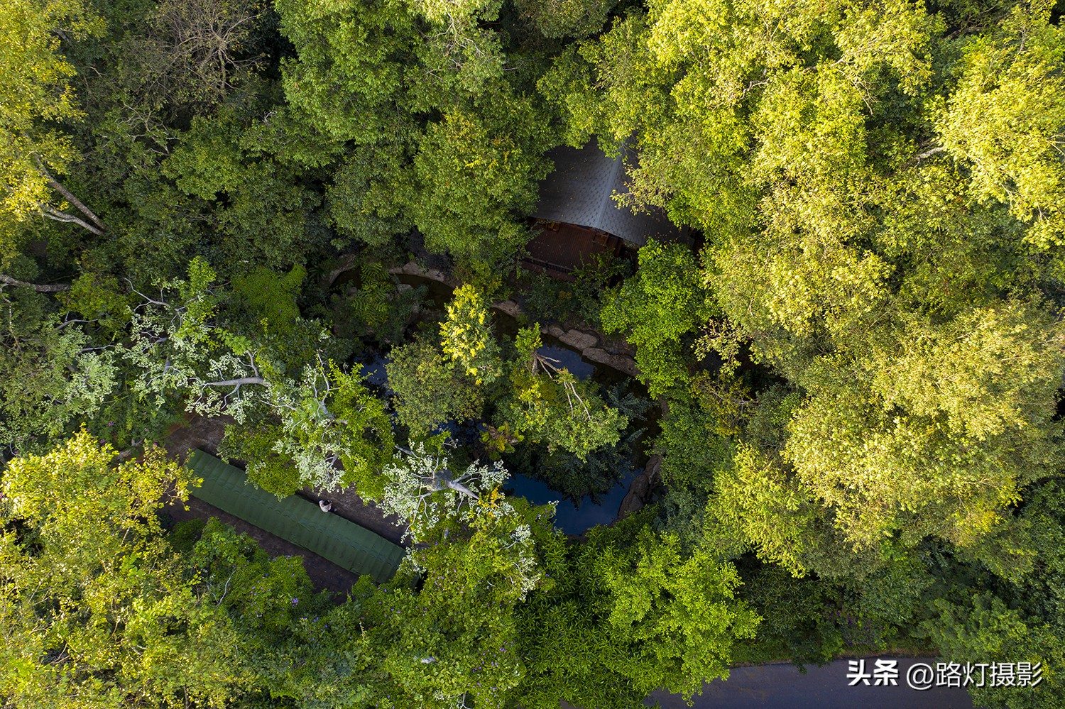 云南最适合养老城市普洱,中国的春城是哪个城市