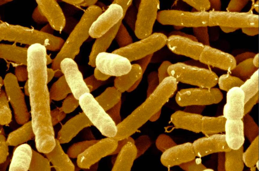 严查毒奶粉最新事件,央视曝光毒奶粉