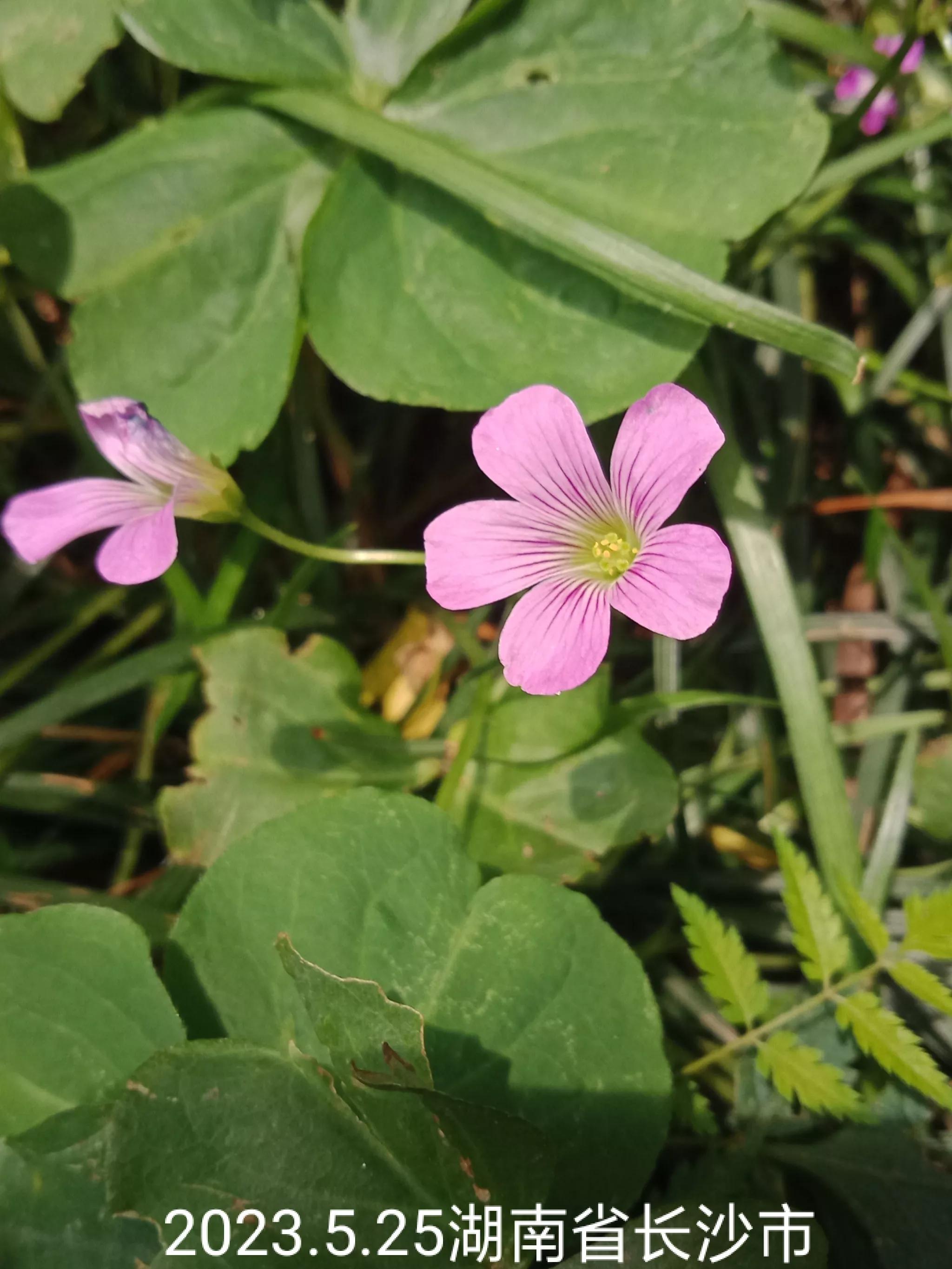 微信群忘保存找不到怎么办,怎么保存微信群里面的人