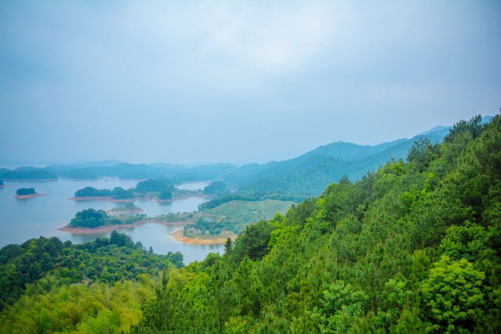 杭州旅游|杭州5*级A**景区在哪里?