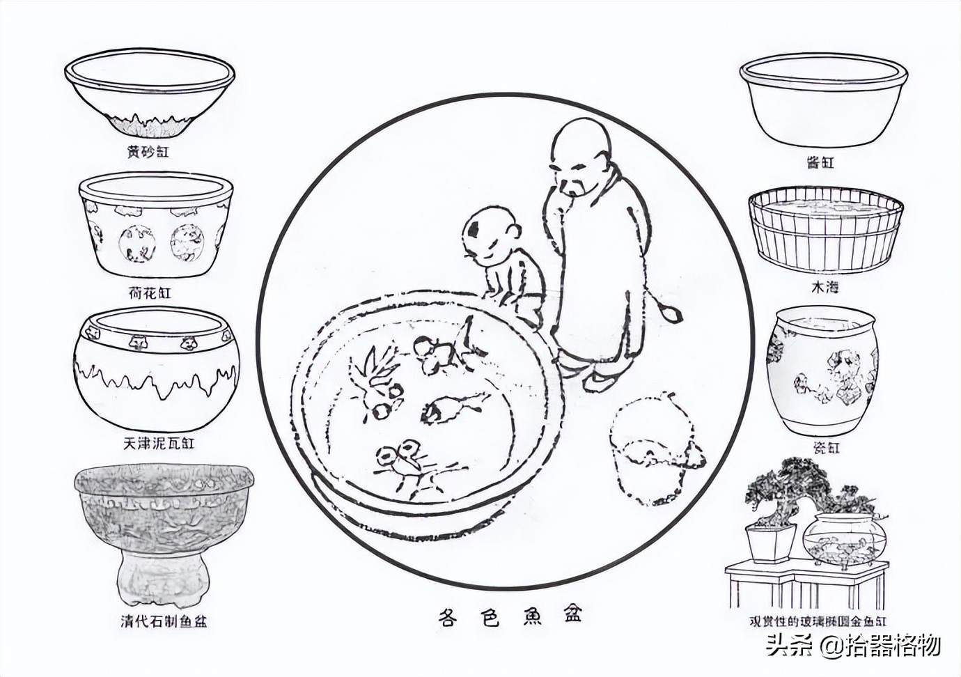 古代养金鱼怎么养活的,来谈一谈古人是如何养金鱼的