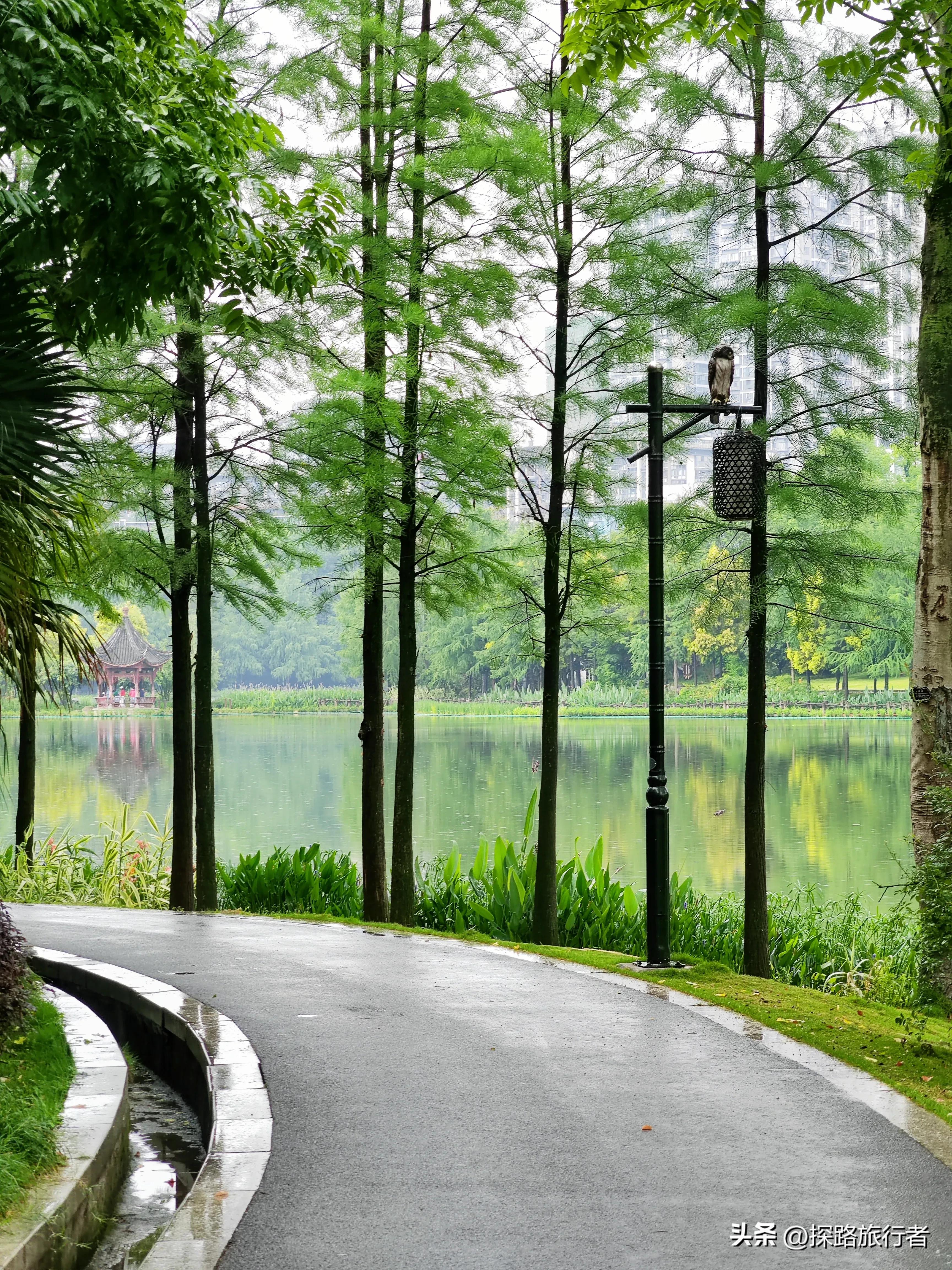 游玩璧山的秀湖公园攻略,璧山秀湖公园玩什么