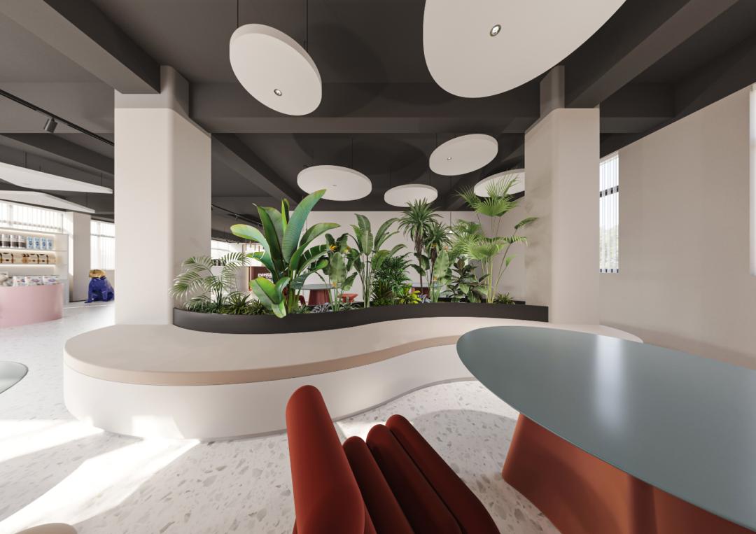 宠物店设计文字,宠物店设计功能区域