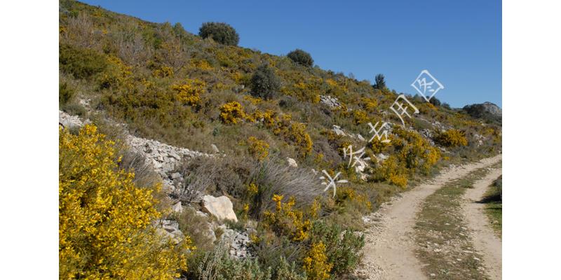 几岁男孩和父母分开睡最好,叛逆期男孩要求和父母分房睡