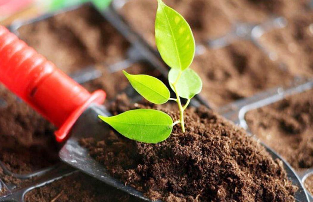 京安股份有限公司,京安股份