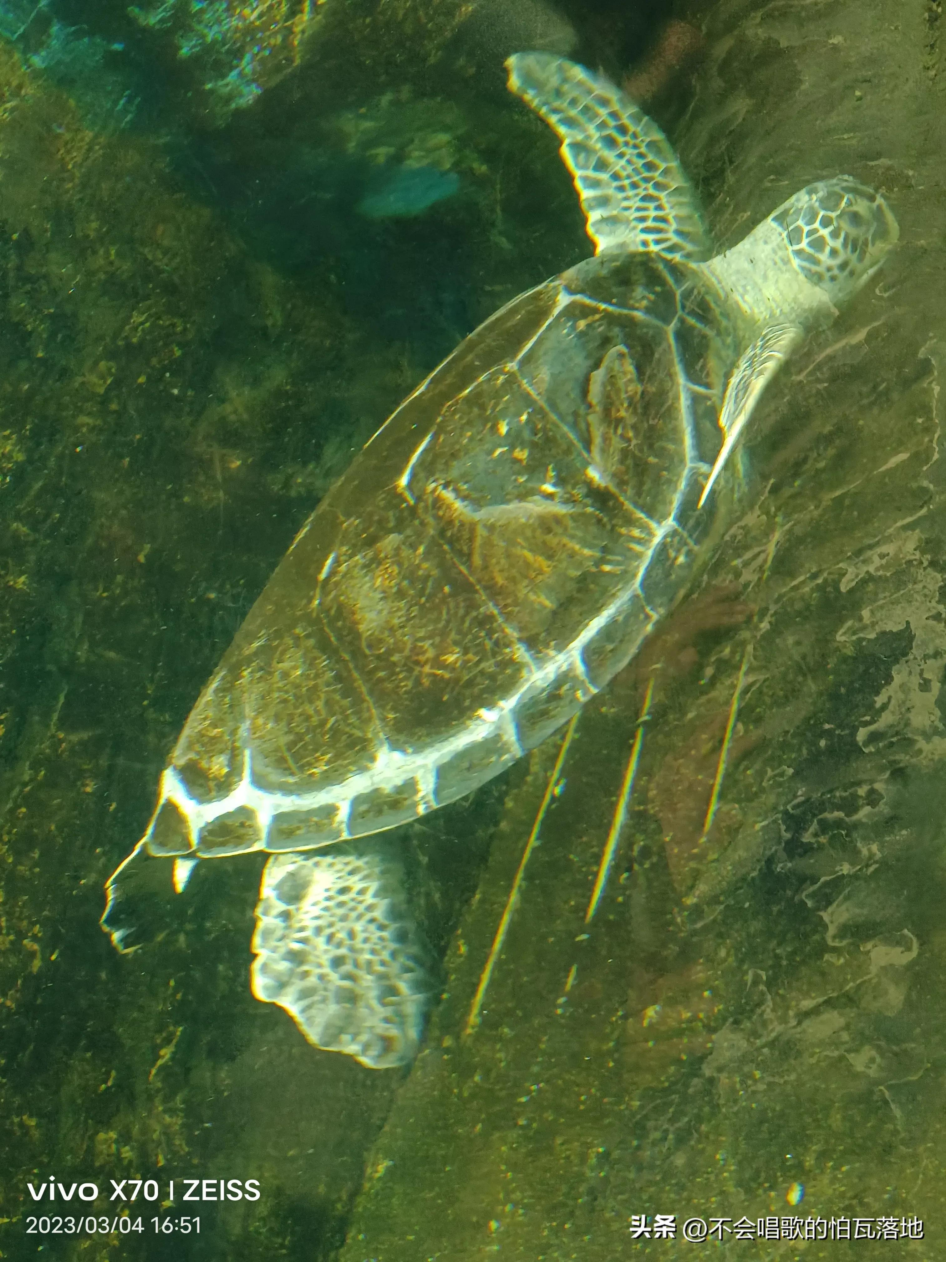 郑州动物园介绍一日游,郑州市动物园正常游览时间