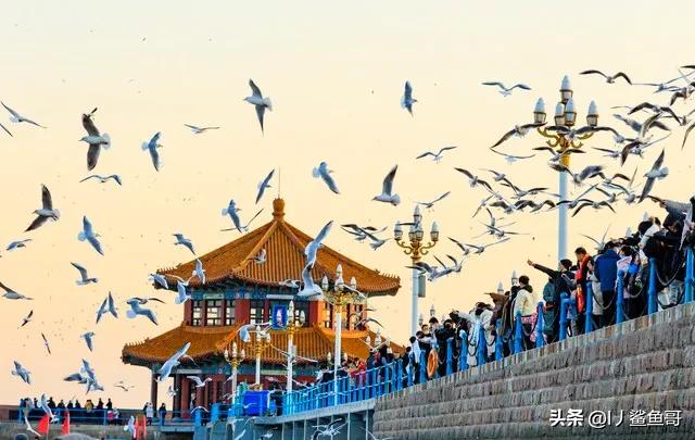 青岛一日游看海最佳景点一览表,青岛适合看海的旅游景点推荐